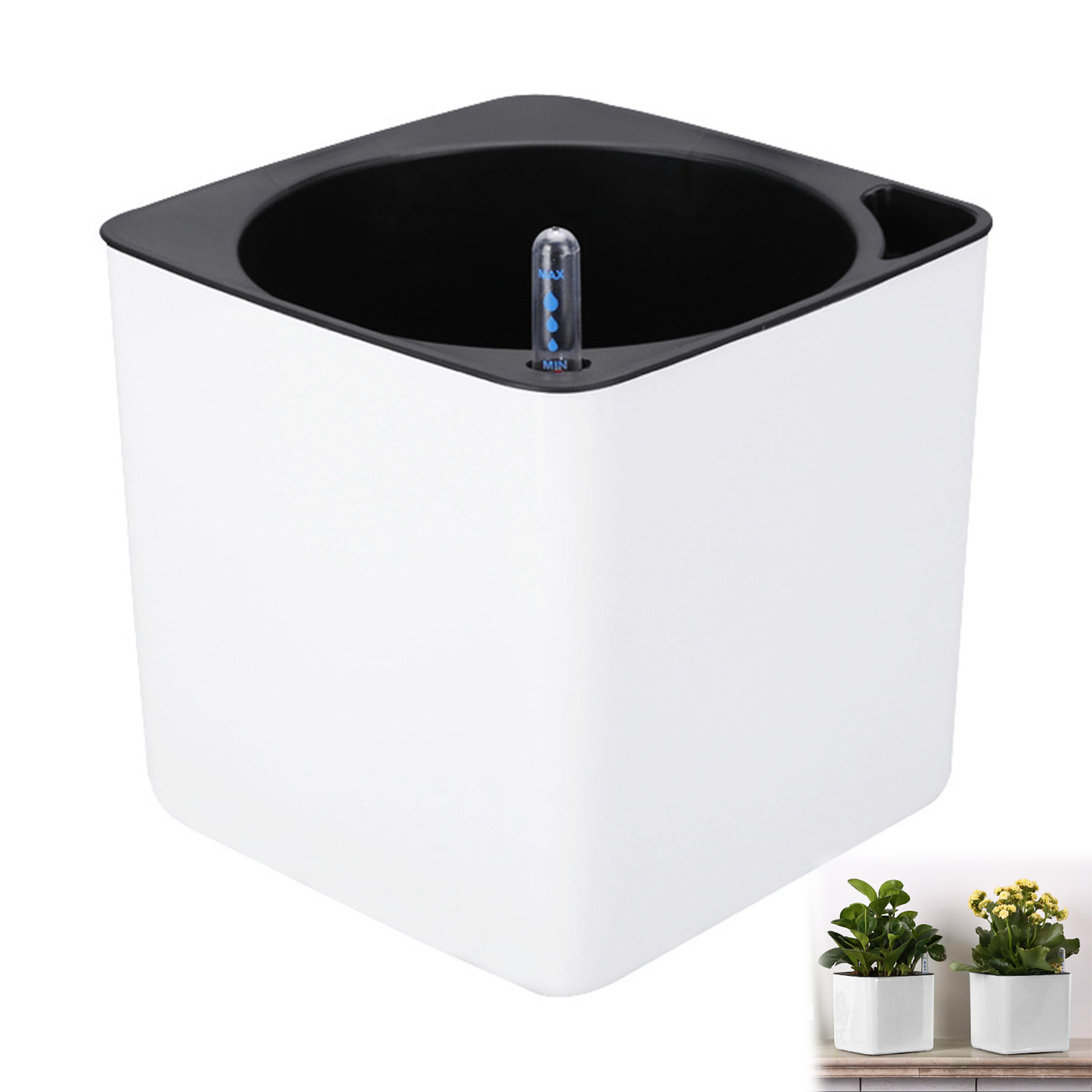 Automatic Self Watering Flower - Self Watering Insert review and price
