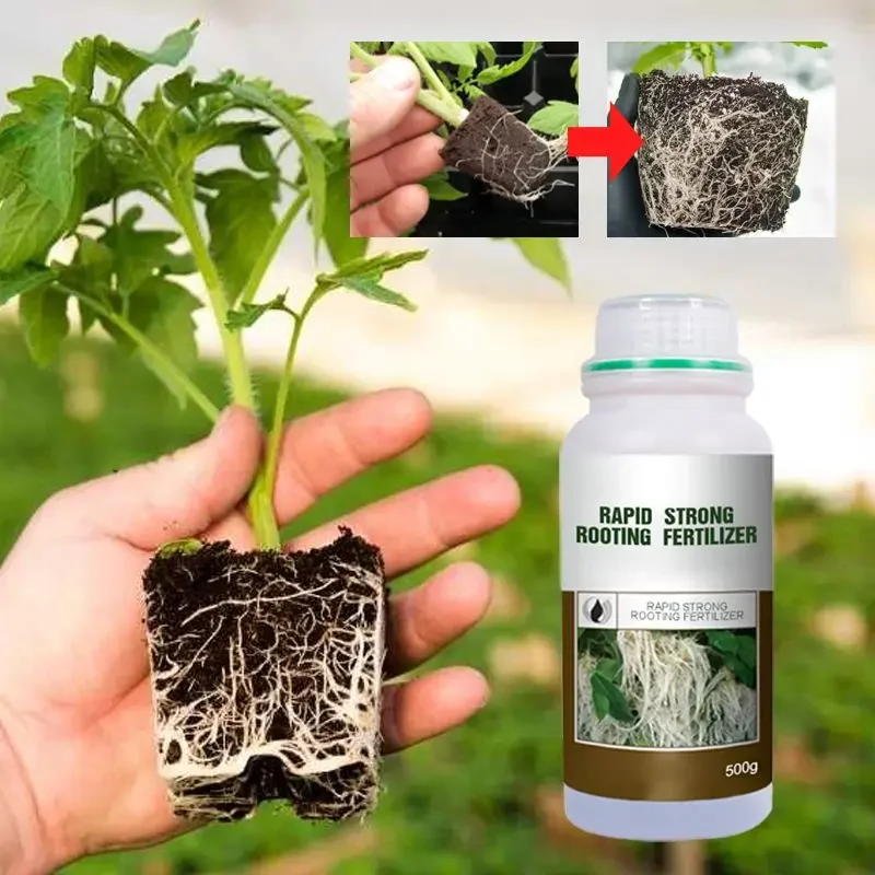 Rapid Strong Rooting Fertilize - Rooting Hormone Powder review and price