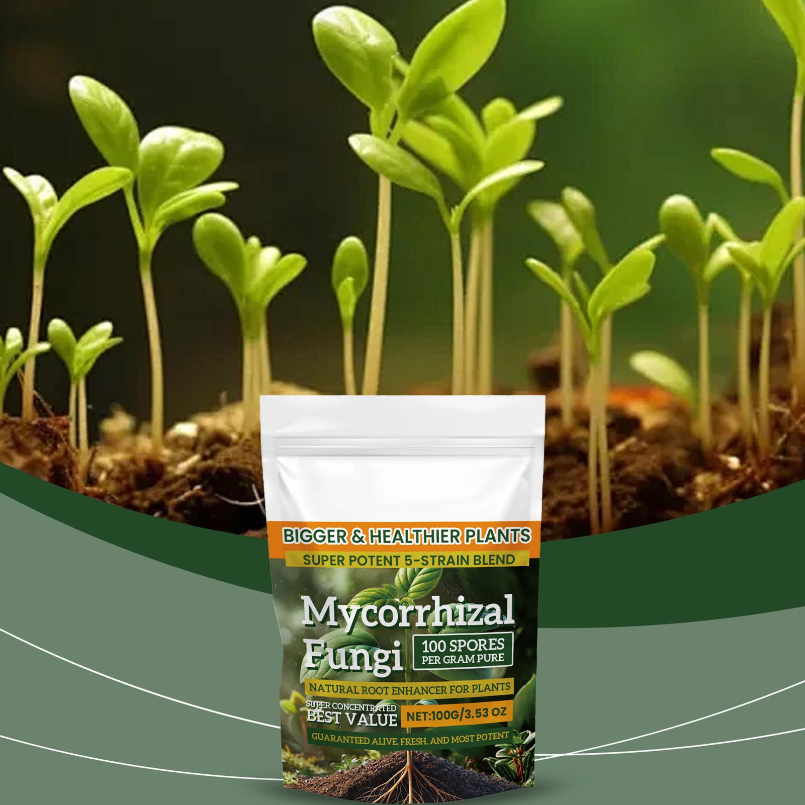 100g Plant Nutrient Powder Pla - Rooting Hormone Powder review and price