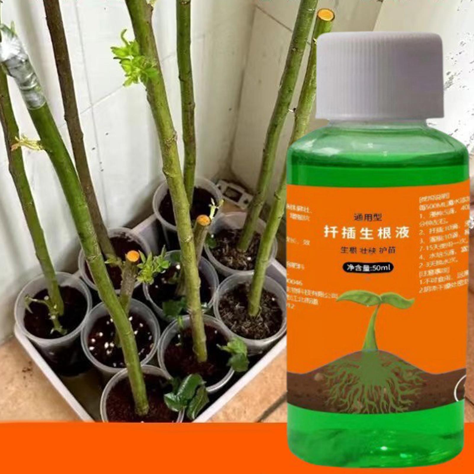 High-Efficiency Root Stimulato - Root Stimulator Liquid review and price