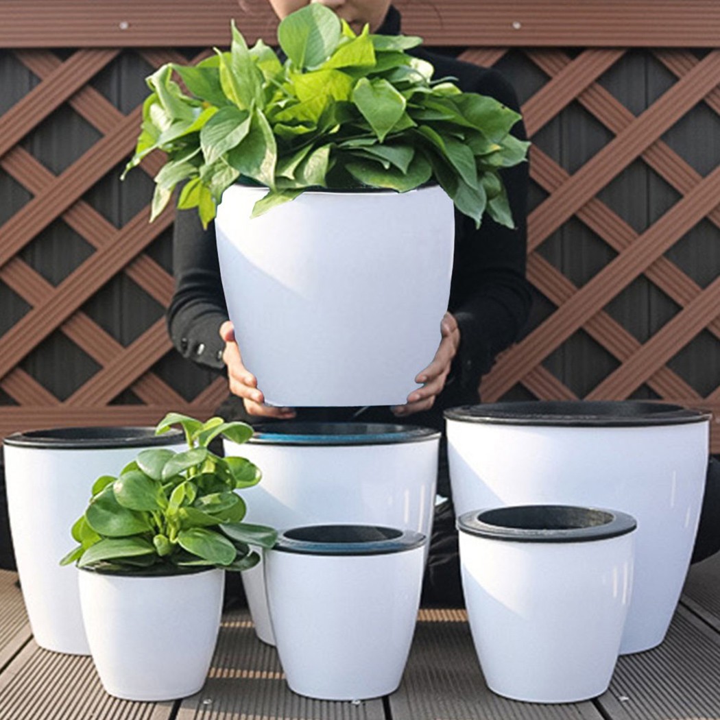 Automatic Watering Flower Plan - Self Watering Insert review and price